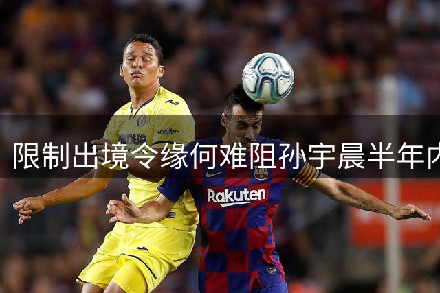 限制出境令缘何难阻孙宇晨半年内现身美国